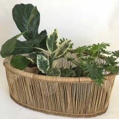 Ko-Coon Moses Basket Ethereal Collection Baby Furniture