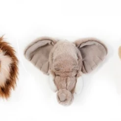 Wild & Soft Wall Trophy Safari Gift Box Décor