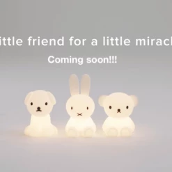 Mr Maria First Light Décor 20 Mr Maria First Light Décor