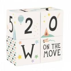 Milestone Baby Age + Moment Blocks