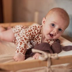 Jollein Pacifiers & Teethers Pacifier Cloth Bunny Ears 15 Jollein Pacifiers & Teethers Pacifier Cloth Bunny Ears