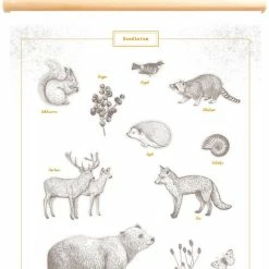 Little And Pure Productions Décor Poster Pimpelmees Forest Animals
