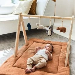 Jollein Babygym Toys 20 Jollein Babygym Toys