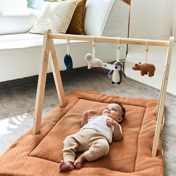 Jollein Babygym Toys 10 Jollein Babygym Toys