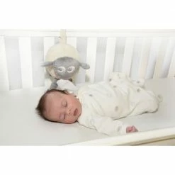 Sweetdreamers Ewan The Dream Sheep