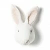 Wild & Soft Wall Trophy Rabbit